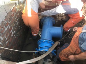 Peke-Dapcevica-tekst